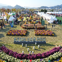 제10회 강진만 춤추는 갈대축제 개막식
